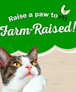 Purina Friskies Natural Pate Wet Cat Food Farm Favorites with Salmon and Spinach, 5.5 oz. Cans -Pets & Wildlife Sales Store 506f59cd9151fc76e4560d8a97bdda4fce579313 352020219 9