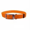 Scott Pet Single Ply Collar - 1415HO10 - Dog Collars & Leashes -Pets & Wildlife Sales Store 50e11545eed1ed6ddbf4d962a2989c02bf000bdb 20809588