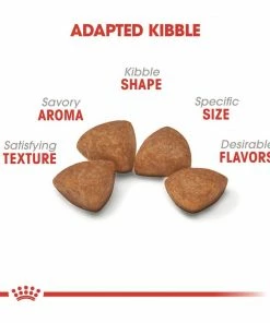 Royal Canin X-Small Puppy Dry Dog Food, 3 lb. Bag -Pets & Wildlife Sales Store 51f085fb4ed127e9b0aa89f7330eab77f27a2004 55682028 3