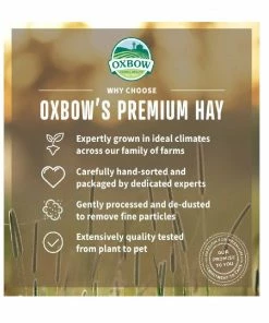 Oxbow Timothy Meadow Hay, 84 oz. - Small Animal Feed & Treats -Pets & Wildlife Sales Store 525d710105915d590a961d5d29e0dd70e499f46b 667980002 2