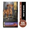 NESTLE PURINA PETCARE CO Purina Pro Plan Sport Performance 30/20 Beef & Bison Dry Dog Food, 33 lb. Bag