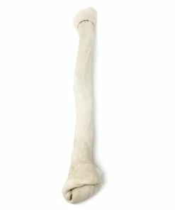 Cadet Rawhide Knotted Bone, 24" - C70198 - Dog Treats -Pets & Wildlife Sales Store 547cddeb0879c6042af39a368b85e1574938f6ef 76450015 3