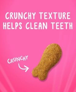 Purina Friskies Party Mix Chicken and Waffle Flavored Cat Treats, 2.1 oz. Pouch -Pets & Wildlife Sales Store 54bc94fb47c38c650e6f4537ead881dd70e64277 35203015 6