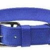 Scott Pet 14 inch Pet Collar - 1416 - Dog Collars & Leashes 1 Scott Pet 14 inch Pet Collar - 1416 - Dog Collars & Leashes -Pets & Wildlife Sales Store 563a3e6574a3f5bb4aa47848d9815069ee929454 1000000995