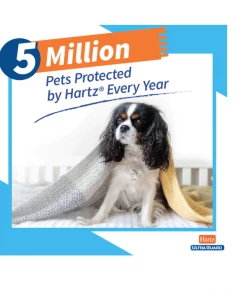 Hartz UltraGuard Pro Flea & Tick Reflective-X Collar for Dogs, 1 CT - Dog Flea & Tick 12 Hartz UltraGuard Pro Flea & Tick Reflective-X Collar for Dogs, 1 CT - Dog Flea & Tick -Pets & Wildlife Sales Store 5666dd1eca08d49e05004e8132edd6c1e08db18b 2022016741 4