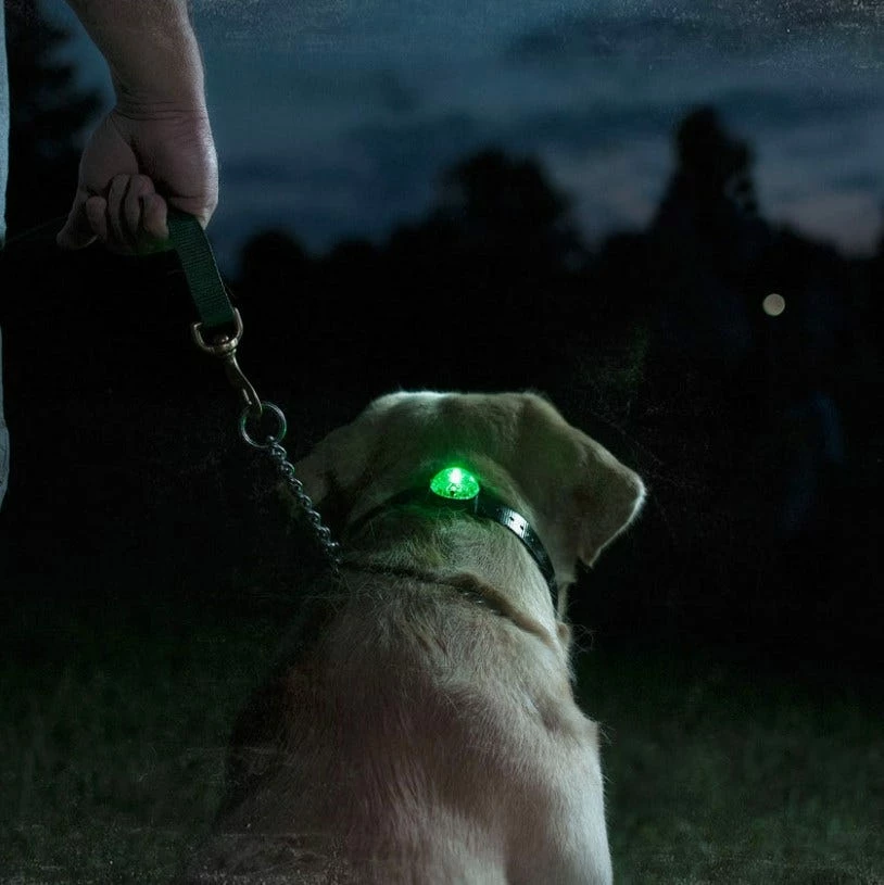 Sport Dog SportDOG Brand® Locator Beacon - Green SDLB-GREEN - Dog Training & Behavior 4 Sport Dog SportDOG Brand® Locator Beacon - Green SDLB-GREEN - Dog Training & Behavior - Image 2