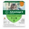 Advantage 2 Advantage II Small Cat Flea Control, 5-9 lbs. / 4 Doses - Cat Flea & Tick 2 Advantage 2 Advantage II Small Cat Flea Control, 5-9 lbs. / 4 Doses - Cat Flea & Tick -Pets & Wildlife Sales Store 584954828cc4a4e8805ec3c3f58b08380eb68a27 57120056