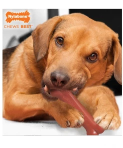 Nylabone Power Chew Durable Dog Chew Toy, Bacon Flavor, Wolf - NB103P - Dog Toys 9 Nylabone Power Chew Durable Dog Chew Toy, Bacon Flavor, Wolf - NB103P - Dog Toys -Pets & Wildlife Sales Store 58fc4122b9271818f49cf12bb0633f508e36ccd9 67610249 3