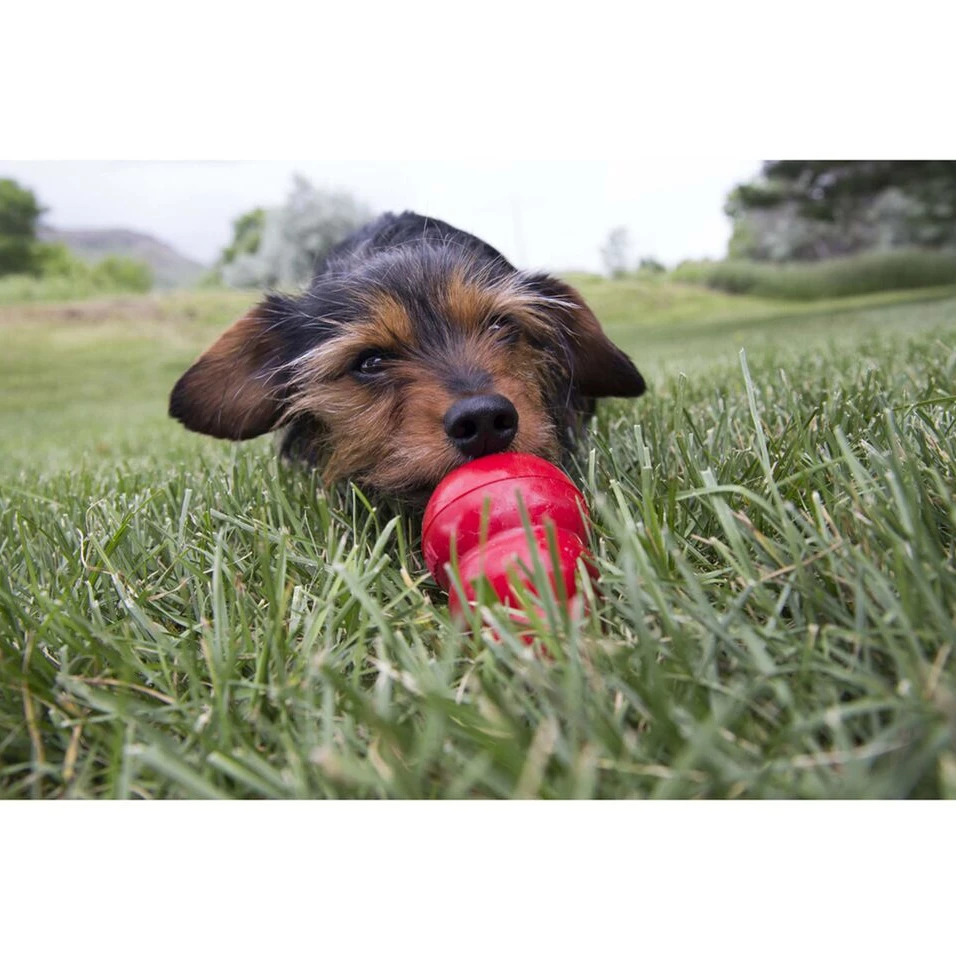 KONG Easy Treat® Bacon & Cheese 8 oz - Dog Toys 6 KONG Easy Treat® Bacon & Cheese 8 oz - Dog Toys - Image 4