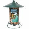 Pine Tree Farms Classic Seed Log Hanging Feeder - 8010 - Wild Bird Feeders -Pets & Wildlife Sales Store 5a3454a267650f1998fead6b2f353f8b28b3b9ff 48200005