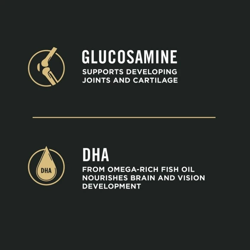 Purina Pro Plan Chicken & Rice Formula Large Breed Dry Puppy Food, 47 lb. Bag - Dry Dog Food 9 Purina Pro Plan Chicken & Rice Formula Large Breed Dry Puppy Food, 47 lb. Bag - Dry Dog Food - Image 7