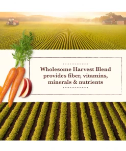 Whole Earth Farms Small Breed Recipe Beef Dinner, 3.5 oz. Can - Wet Dog Food 10 Whole Earth Farms Small Breed Recipe Beef Dinner, 3.5 oz. Can - Wet Dog Food -Pets & Wildlife Sales Store 5b5ca506aea22409ca123b90c3723c95398fd261 13735726 5