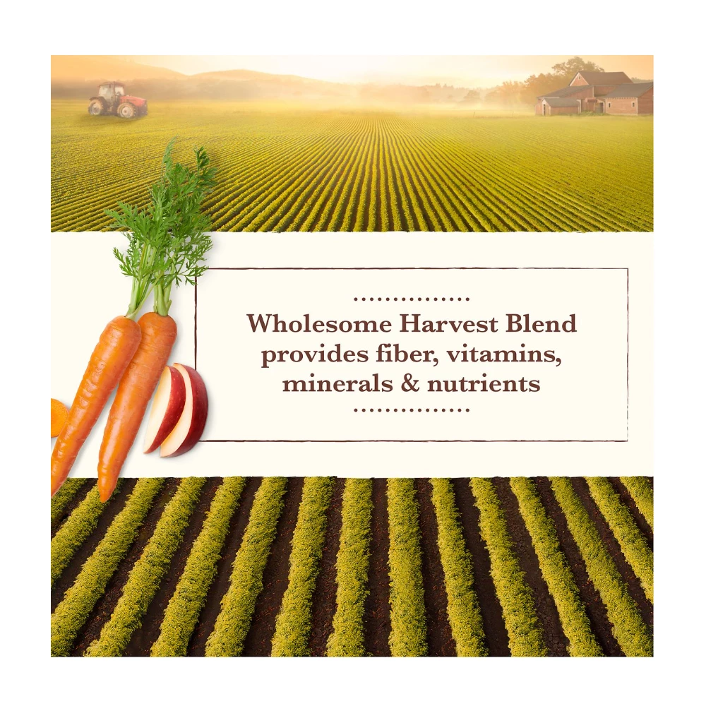 Whole Earth Farms Small Breed Recipe Beef Dinner, 3.5 oz. Can - Wet Dog Food 6 Whole Earth Farms Small Breed Recipe Beef Dinner, 3.5 oz. Can - Wet Dog Food - Image 4