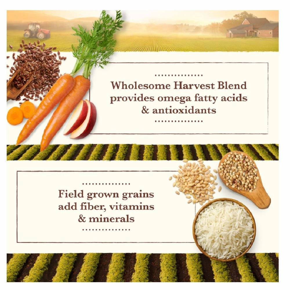 Whole Earth Farms Healthy Grains Chicken and Rice Recipe Dry Dog Food, 37 lb. Bag 8 Whole Earth Farms Healthy Grains Chicken and Rice Recipe Dry Dog Food, 37 lb. Bag - Image 6