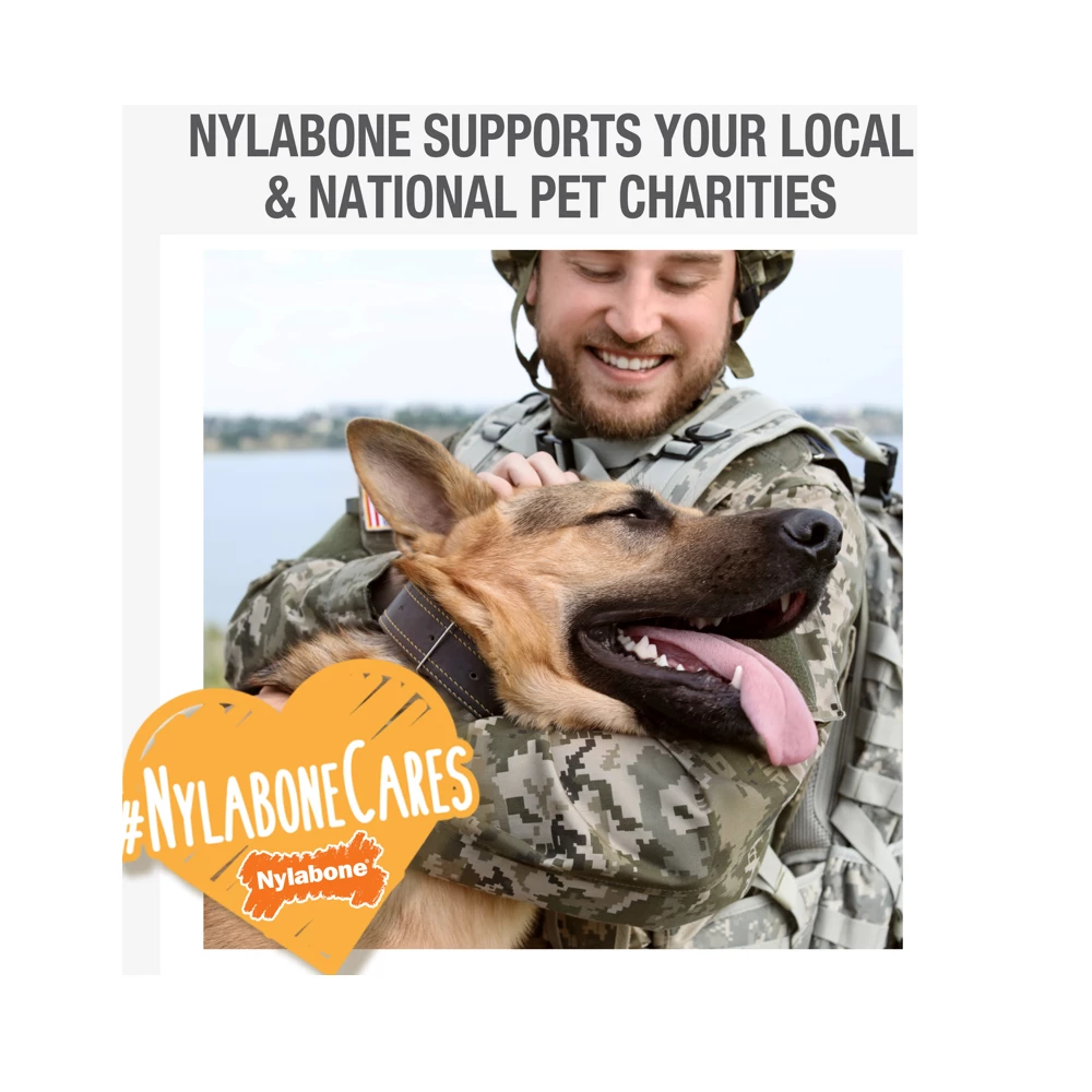 Nylabone Power Chew Flavored Durable Chew Toy for Dogs, Bacon, Large/Giant, 1 Count Bone - NB104P - Dog Toys 13 Nylabone Power Chew Flavored Durable Chew Toy for Dogs, Bacon, Large/Giant, 1 Count Bone - NB104P - Dog Toys - Image 11