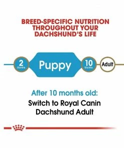 Royal Canin® Breed Health Nutrition® Dachshund Puppy Dry Dog Food, 2.5 lb. Bag -Pets & Wildlife Sales Store 5c095452a8fc0e29fb5a4db34b2ae041b3e2e294 2022023163 3