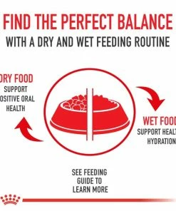 Royal Canin Breed Health Nutrition Boxer Adult Dry Dog Food, 30 lb. Bag