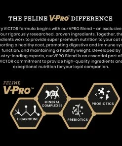 Victor Hi-Pro Plus Active Dry Cat & Kitten Food, Ocean Fish Recipe, 5 lb. Bag - Dry Cat Food -Pets & Wildlife Sales Store 5cb775f139dbc1a8a24787b4da0f22cc45075a67 2022009922 3