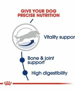 Royal Canin® Size Health Nutrition™ Large Adult 5+ Dry Dog Food, 30 lb. Bag -Pets & Wildlife Sales Store 5cd0774a5cda9dbcbbdc4cb36b2d624b2bd6e9e8 2022023167 2