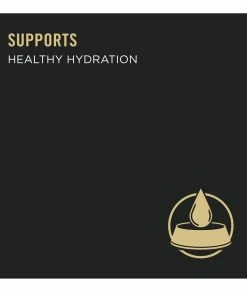 NESTLE PURINA PETCARE CO Purina Pro Plan Sport High Protein Beef & Bison Entrée Wet Dog Food, 13 oz. Can -Pets & Wildlife Sales Store 5ce6c2b7ec7fc2c620aee993df9155b9384428b4 35200614 6