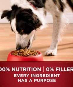 NESTLE PURINA PETCARE CO Purina ONE High Protein Natural Dry Dog Food; True Instinct with Real Turkey & Venison, 36 lb. Bag -Pets & Wildlife Sales Store 5d0e9a20e6cdd904ddf7a0d5b8e1484886ef269a 35202014 7