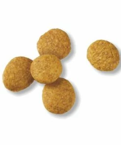 Purina Pro Plan Chicken & Rice Formula Large Breed Dry Puppy Food, 47 lb. Bag - Dry Dog Food 13 Purina Pro Plan Chicken & Rice Formula Large Breed Dry Puppy Food, 47 lb. Bag - Dry Dog Food -Pets & Wildlife Sales Store 5dfb34012da065ae67ab0f8a688c3cfb3b22a025 352020262 3