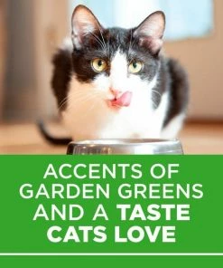 Purina Cat Chow Hairball, Healthy Weight, Indoor Dry Cat Food, 15 lb. Bag 23 Purina Cat Chow Hairball, Healthy Weight, Indoor Dry Cat Food, 15 lb. Bag -Pets & Wildlife Sales Store 5e0ba686c391b49bc953e408b67bb4723a1878a3 42040125 9