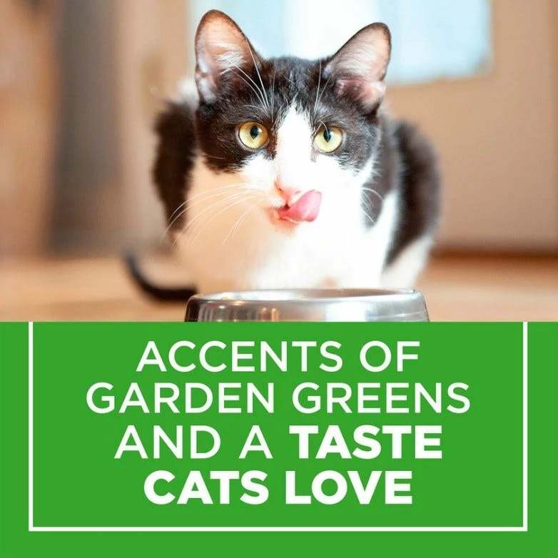 Purina Cat Chow Hairball, Healthy Weight, Indoor Dry Cat Food, 15 lb. Bag 12 Purina Cat Chow Hairball, Healthy Weight, Indoor Dry Cat Food, 15 lb. Bag - Image 10