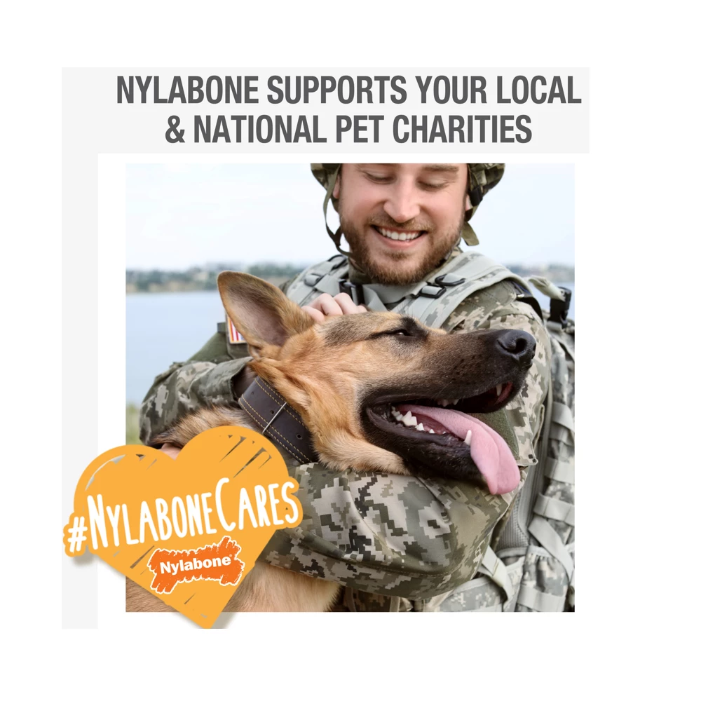 Nylabone Just for Puppies Teething Chew Keys, X-Small/Petite, 1 Count - N219P - Dog Toys 9 Nylabone Just for Puppies Teething Chew Keys, X-Small/Petite, 1 Count - N219P - Dog Toys - Image 7