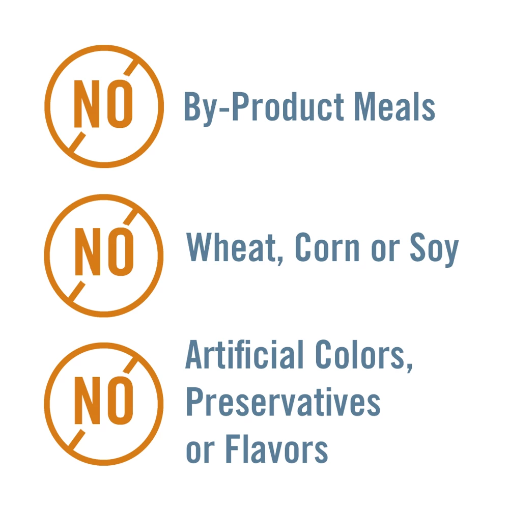 Chicken Soup for the Soul Mature - Chicken, Turkey & Brown Rice Recipe Dry Dog Food, 4.5 lb. Bag 7 Chicken Soup for the Soul Mature - Chicken, Turkey & Brown Rice Recipe Dry Dog Food, 4.5 lb. Bag - Image 5