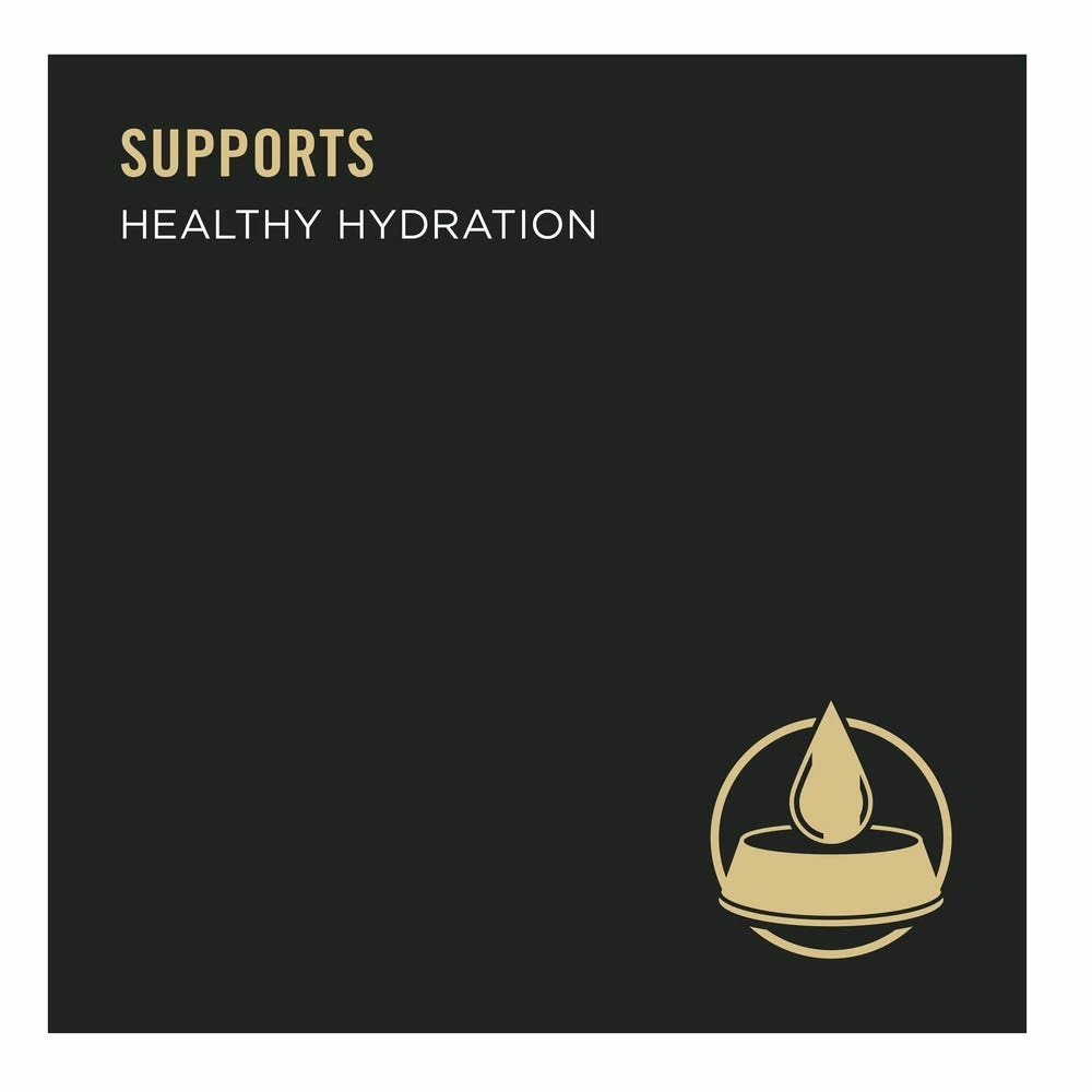 NESTLE PURINA PETCARE CO Purina Pro Plan Sport High Protein Turkey, Duck, & Quail Entrée Wet Dog Food, 13 oz. Can 9 NESTLE PURINA PETCARE CO Purina Pro Plan Sport High Protein Turkey, Duck, & Quail Entrée Wet Dog Food, 13 oz. Can - Image 7