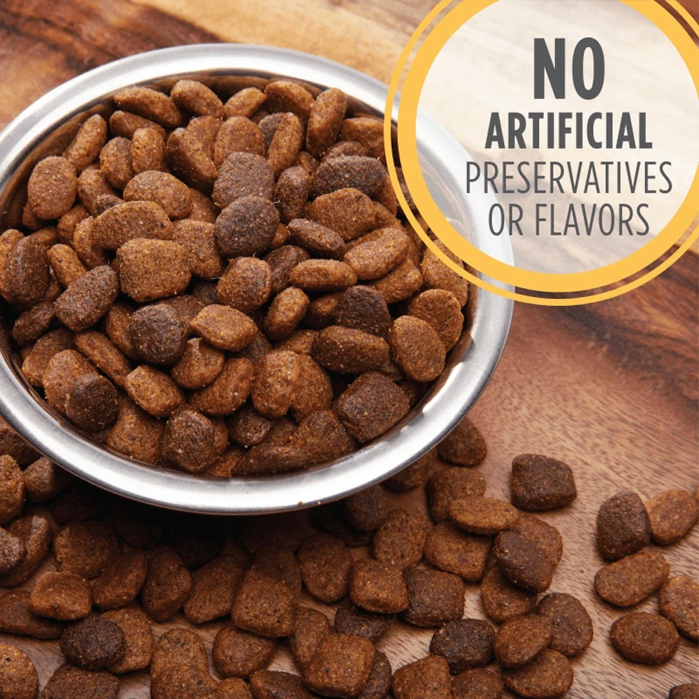 Iams ProActive Health Smart Puppy Large Breed Dry Dog Food, 30.6 lb. Bag 7 Iams ProActive Health Smart Puppy Large Breed Dry Dog Food, 30.6 lb. Bag - Image 5