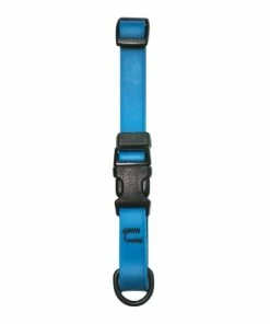 Scott Pet Small/Medium Adjustable Dog Collar, Blue - 1747BL - Dog Collars & Leashes