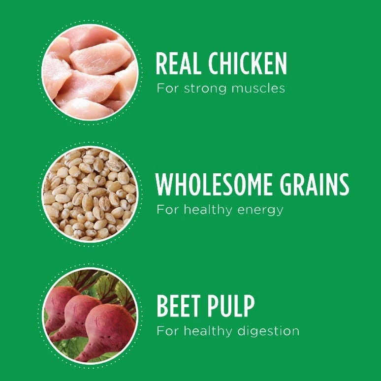 Iams Adult Small & Toy Breed Dry Dog Food with Real Chicken & Whole Grains, 7 lb. Bag 9 Iams Adult Small & Toy Breed Dry Dog Food with Real Chicken & Whole Grains, 7 lb. Bag - Image 7