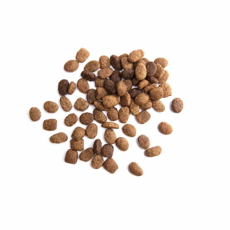 Iams ProActive Health Healthy Aging Chicken & Whole Grains Recipe Senior Dry Dog Food, 15 lb. Bag 10 Iams ProActive Health Healthy Aging Chicken & Whole Grains Recipe Senior Dry Dog Food, 15 lb. Bag - Image 8