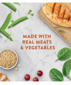 Chicken Soup for the Soul Classic Dog - Beef with Vegetables Cuts in Gravy Recipe Canned Wet Dog Food, 13 oz. Can -Pets & Wildlife Sales Store 6102146a987e1e7e46aea632a4638f52b2f69cde 2022003819 4