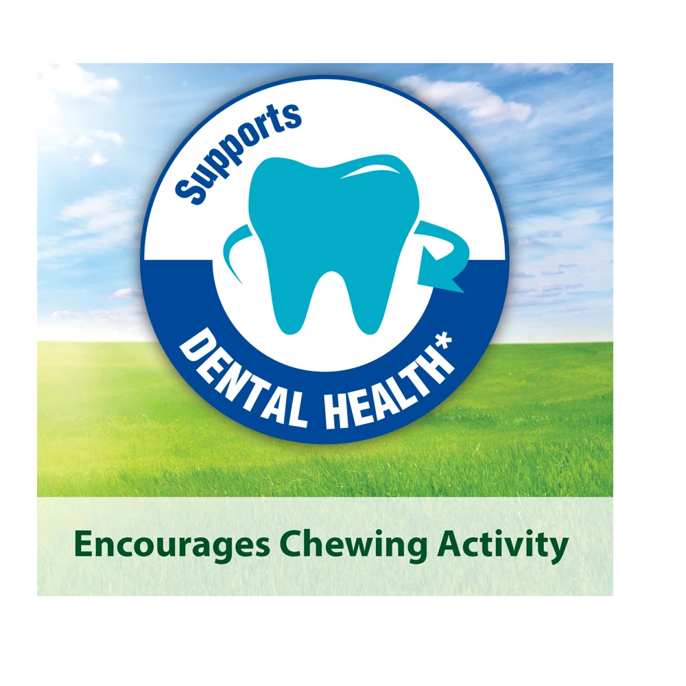 Kaytee Timothy Hay Blend Cubes, 1 lb. Pack - 100036895 - Rabbit Feed 8 Kaytee Timothy Hay Blend Cubes, 1 lb. Pack - 100036895 - Rabbit Feed - Image 6