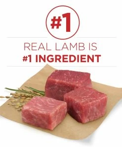 Purina ONE SmartBlend Natural Lamb & Rice Formula Adult Dry Dog Food, 40 lb. Bag -Pets & Wildlife Sales Store 62a851704345e77aa5500d29772b227efc959a04 00017800167468 04