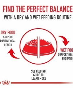 Royal Canin Mother & Babycat Ultra-Soft Mousse in Sauce Wet Cat Food, 3oz. Cans - 12 Count -Pets & Wildlife Sales Store 656e235826cc533a8ff217136642eea24813ac1f 55682075 2