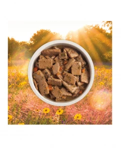 Acana Grain-Free Premium Chunks Beef Recipe In Bone Broth Adult Wet Dog Food, 12.8 oz. Can -Pets & Wildlife Sales Store 658e4fbd6b518cc4a8d8925cbdc8c3532f665ce6 2022009315 3