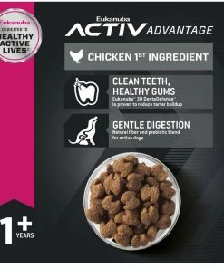 Eukanuba™ Puppy Large Breed Dry Dog Food, 30 lb. Bag 15 Eukanuba™ Puppy Large Breed Dry Dog Food, 30 lb. Bag -Pets & Wildlife Sales Store 674be1f26f0a28a72cd4b9d129333b8abd639c44 2022023627 5