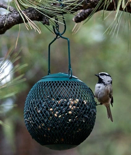 Various Brands Green Bird Feeder Ball - GSB00344 - Wild Bird Feeders 3 Various Brands Green Bird Feeder Ball - GSB00344 - Wild Bird Feeders