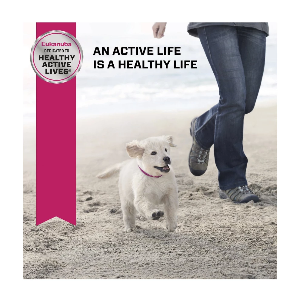 Eukanuba™ Puppy Medium Breed Dry Dog Food, 16 lb. Bag 9 Eukanuba™ Puppy Medium Breed Dry Dog Food, 16 lb. Bag - Image 7