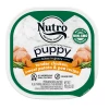 Nutro Puppy High Protein Grain Free Natural Wet Dog Food Bites In Gravy Tender Chicken, Sweet Potato & Pea Recipe, 3.5 oz. -Pets & Wildlife Sales Store 68459cd112c76a877246739f6080aa5ee9a863d9 75490975.8