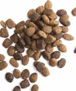 Iams ProActive Health Smart Puppy Chicken & Whole Grains Recipe Dry Puppy Food, 15 lb. Bag - Dry Dog Food -Pets & Wildlife Sales Store 68d609bf24f738abdf6c5eec5e719ef5018f5f9e 10951518 4