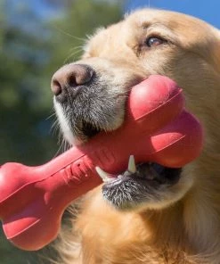 Kong®Goodie Bone™ Md - Dog Toys -Pets & Wildlife Sales Store 69dd7adffa3094f076dbac34d928309a2acc4028 32c33a3215f588a18072eb97b312540b954d2f18 39770402 2