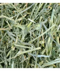 Oxbow Alfalfa Hay for Small Animals, 9 lb. - Small Animal Feed & Treats -Pets & Wildlife Sales Store 6a4755b9aaa315b48654e8906a82dcfc14b703b3 667980003 3