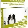 Bayer Quad 4 count Small Dog De-Wormer - Parasite Treatments 1 Bayer Quad 4 count Small Dog De-Wormer - Parasite Treatments -Pets & Wildlife Sales Store 6a500429d9b6f3e3577d367ccee7755184785f68 57120110 57120110 image 57120110