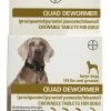 Bayer Quad 2 count Large Dog De-Wormer - Parasite Treatments -Pets & Wildlife Sales Store 6aa5b4edbc88b63063a19f91099be5ffc91f0296 57120114 57120114 image 57120114