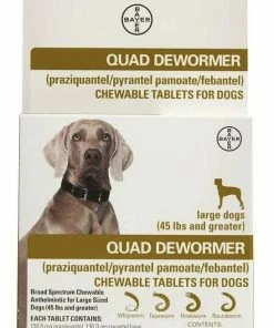 Bayer Quad 2 count Large Dog De-Wormer - Parasite Treatments